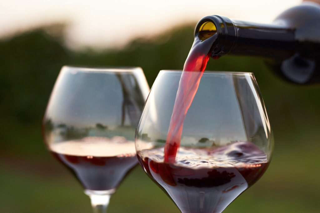 Pouring red wine into glasses in the vineyard at sunset